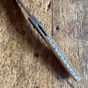 Névé - Damas et Os de Baleine fossile