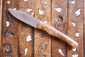 Le Ted - Bois de bouleau stabilisé