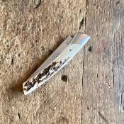 Le Mi-Jo- bois de Cerf