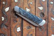 Pradel -Palmier stabilisé Bleu