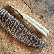 Georges Muller - Phacochère Fixe