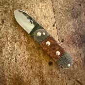  Le Bouledogue Trapu -  Thuya