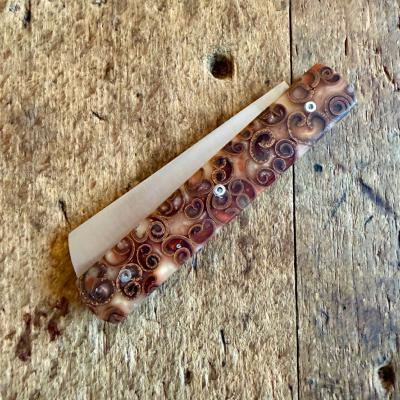 20/20 - Résine et cannelle de Ceylan - 1