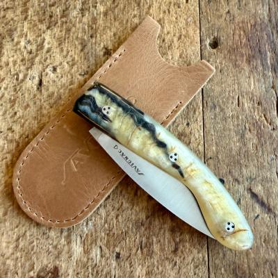 L'Ariegeois - Belier