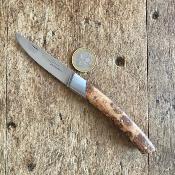 Le Thiers Compact Genévrier