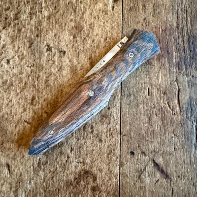 Magna Pinna  - Hêtre Stabilisé