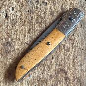 Névé - Damas et Os de Baleine fossile