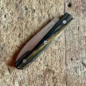 Capi - Ebène Royal 2