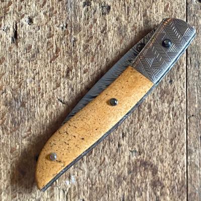 Névé - Damas et Os de Baleine fossile