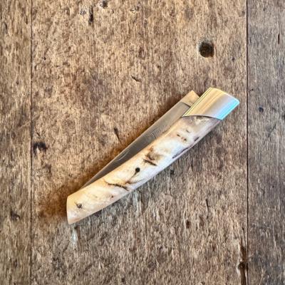 Le Thiers Compagnon - Bélier