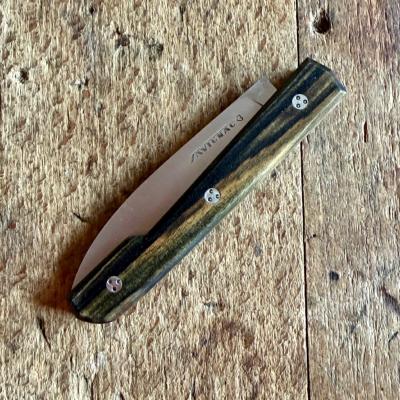 Capi - Ebène Royal 2