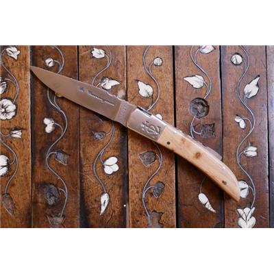 Le Camarguais 12 cm - Genévrier