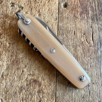Canif 10 cm 3 pièces - Corne blonde