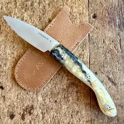 L'Ariegeois - Belier