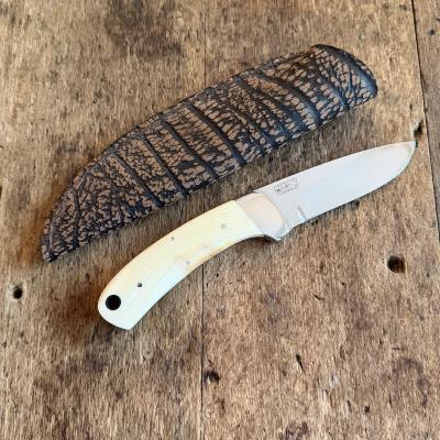 Georges Muller - Phacochère Fixe