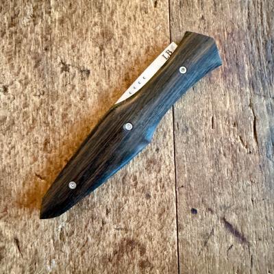 Magna Pinna  - Morta