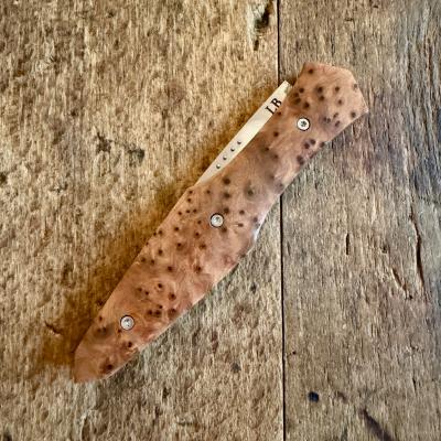 Magna Pinna  - Thuya