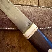 Occasion - Jean-Paul Sire