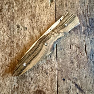 Magna Pinna  - Pistachier